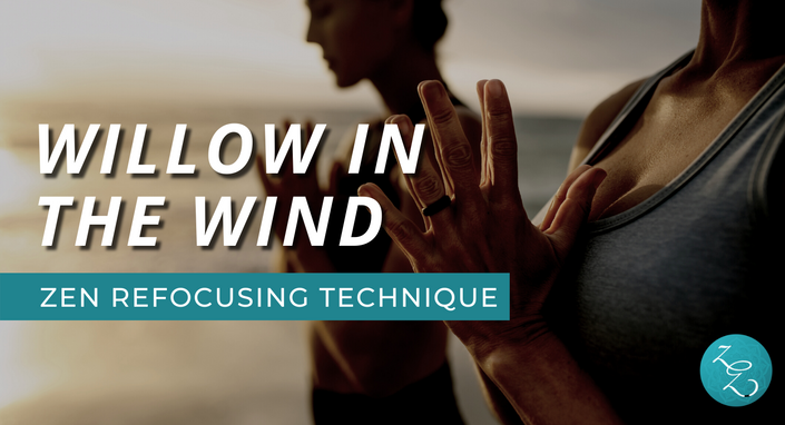 Willow in the Wind Zen Refocusing Technique (Zen Movement Mental Health Program)